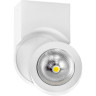 Светильник накладной LIGHTSTAR Snodo 55163
